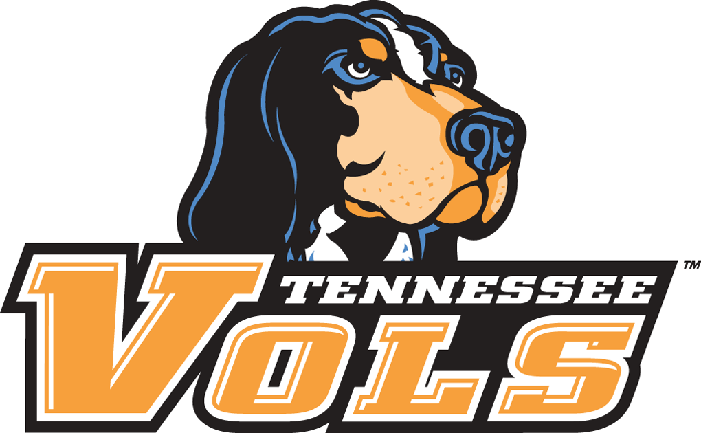 Tennessee Volunteers 2005-Pres Alternate Logo v2 diy DTF decal sticker